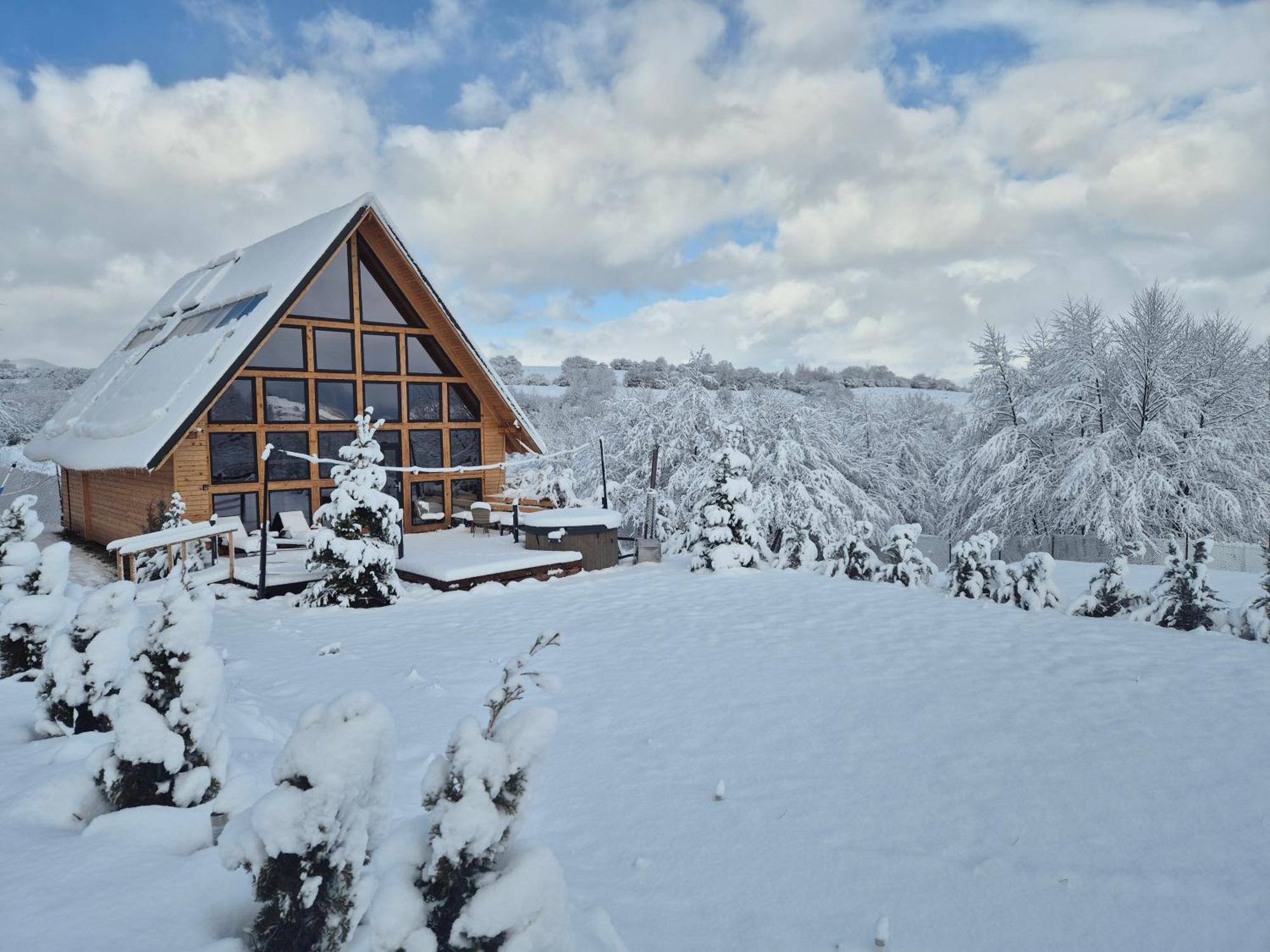 Cabana Timbernest Bran  Exterior foto